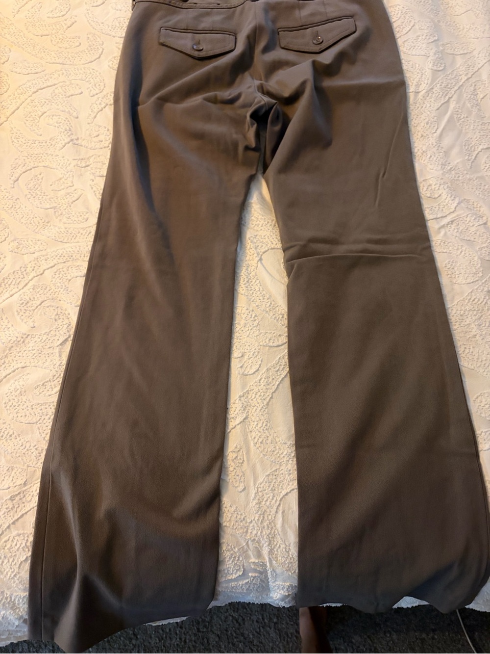 Express Taupe Wide-Leg Dress Pants
